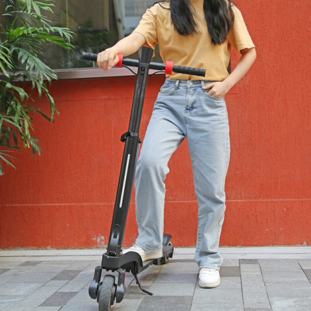 US freeshipping fast delivery 36V 250W Foldable electric scooter