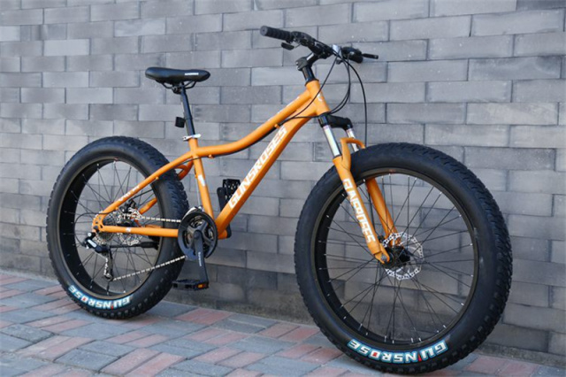 7-30 speed Professional  26 inch adult fat tyre mountain bike