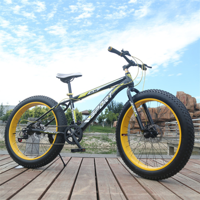 2022 new arrivals profession 7-30 speed  26 inch adult fat tyre mountain bike