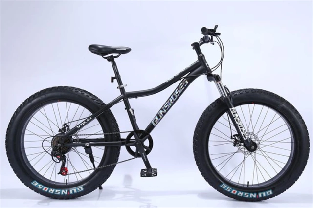 7-30 speed Professional  26 inch adult fat tyre mountain bike