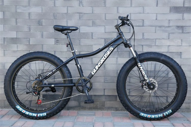 7-30 speed Professional  26 inch adult fat tyre mountain bike