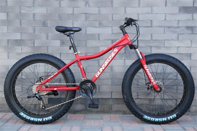 7-30 speed Professional  26 inch adult fat tyre mountain bike