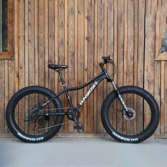 7-30 speed Professional  26 inch adult fat tyre mountain bike