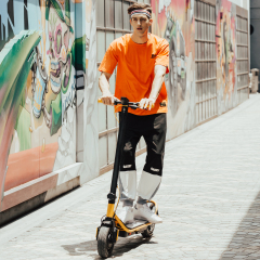 Factory direct sales 350W 36V 12.5A foldable adult electric scooter with Bluetooth APP