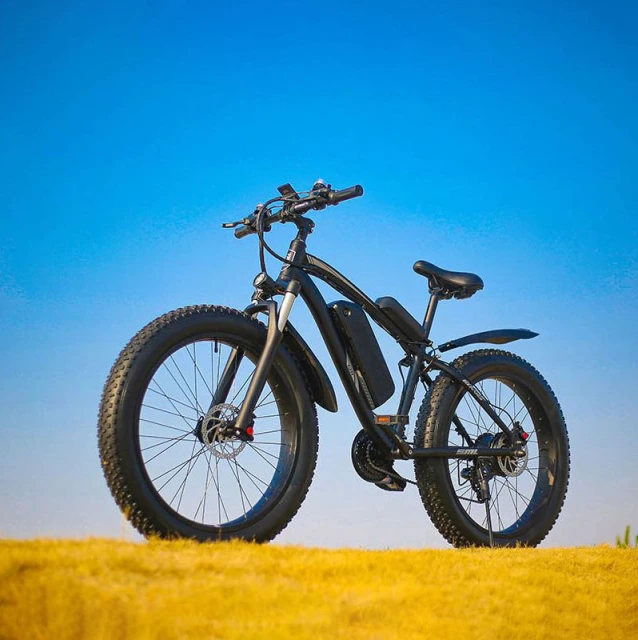 EU-US freeshipping fast delivery 48V 1000W Fat Tire Mountain Electric bike