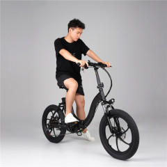 EU fast delivery 48V 350W 10Ah  20 Inch Fat tire foldable electric bike