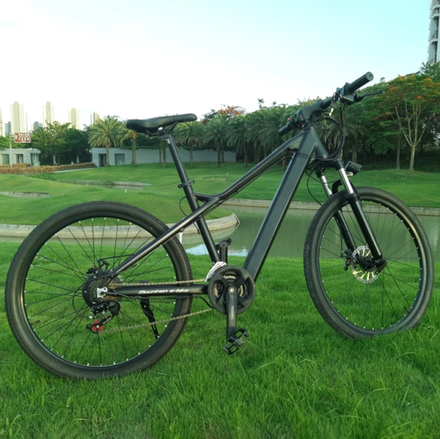EU fast delivery 48V 350W  Electric Bicycle 26inch Ebike  Electric Bicycle