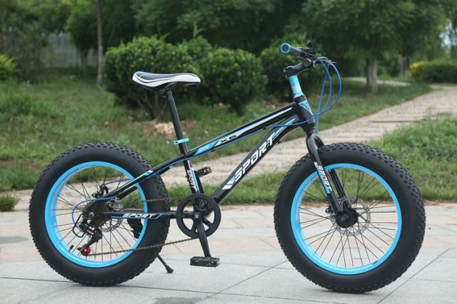 2022 new arrivals profession 7-30 speed  26 inch adult fat tyre mountain bike