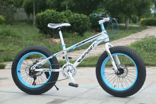 2022 new arrivals profession 7-30 speed  26 inch adult fat tyre mountain bike