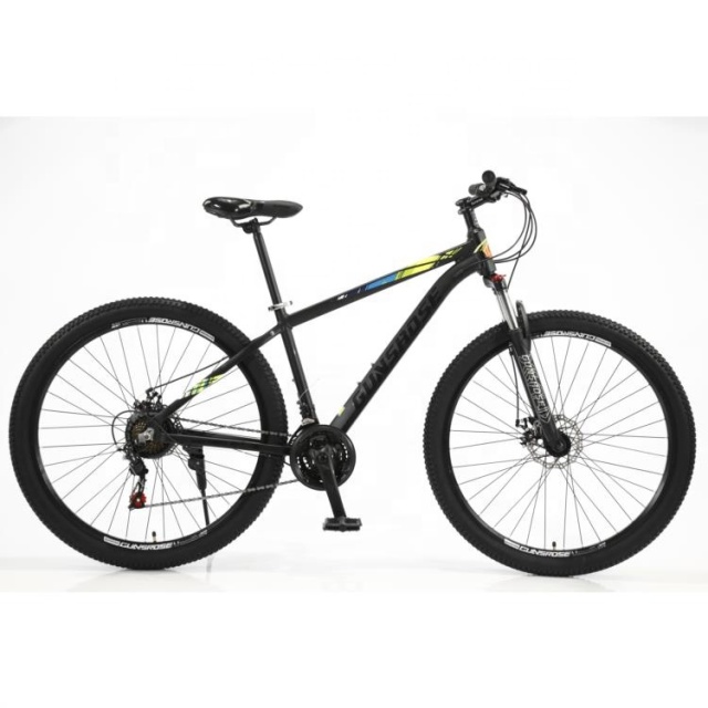 New 29" Inch Non-film Standard Oil Painting Mountain Bike