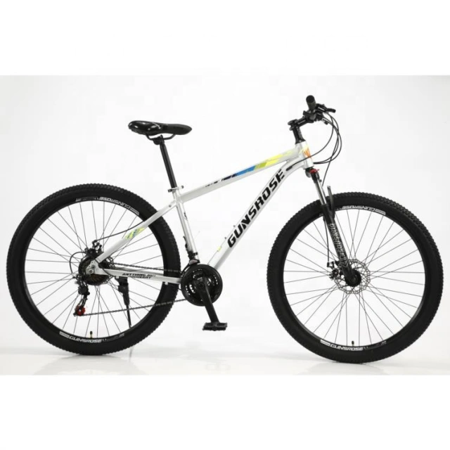 New 29" Inch Non-film Standard Oil Painting Mountain Bike