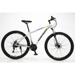 New 29" Inch Non-film Standard Oil Painting Mountain Bike