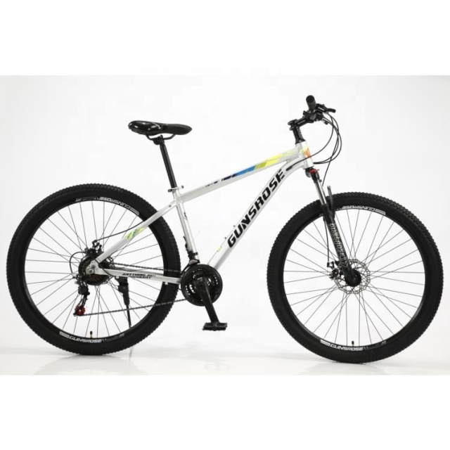 New 29&quot; Inch Non-film Standard Oil Painting Mountain Bike