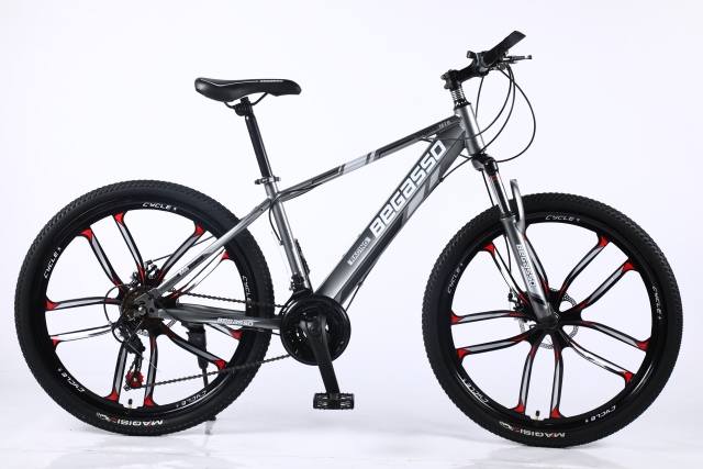 24&quot; &amp; 26&quot; Inch Dual Suspension High Quality Popular Mountain Bike