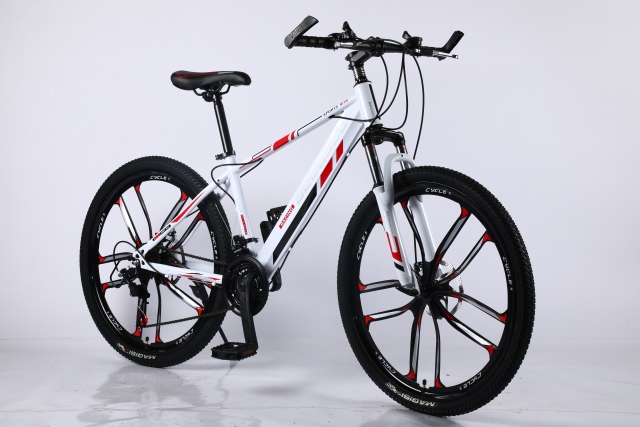 24" & 26" Inch Dual Suspension High Quality Popular Mountain Bike