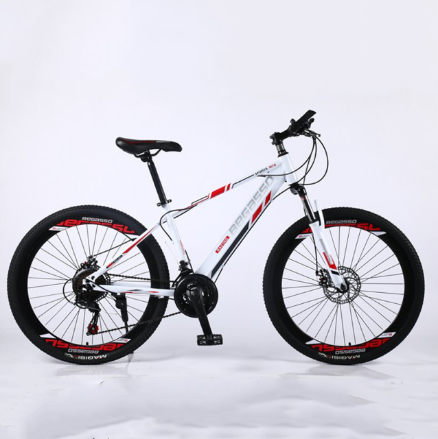 21-30 Speed Full Suspension Mountain Bike