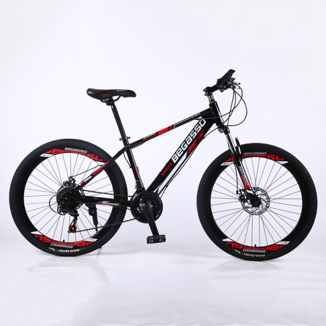 21-30 Speed Full Suspension Mountain Bike