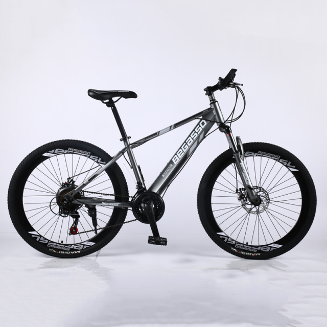 21-30 Speed Full Suspension Mountain Bike