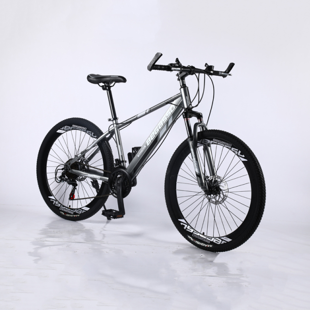 21-30 Speed Full Suspension Mountain Bike