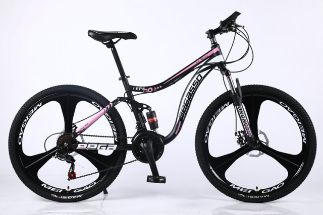 21-30 Speed Fll Anti-vibration Double Disc Brake Mountain Bike