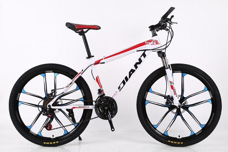 Hot Selling 24 Inch And 26 Inch High Quality Bicycle Mountain Bike