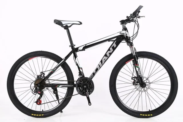 7-30 Speed High Quality Dual Disc Brake Variable Dpeed Mountain Bike