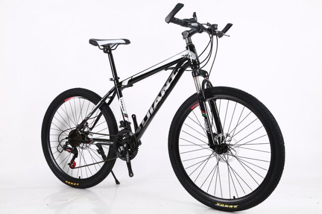 7-30 Speed High Quality Dual Disc Brake Variable Dpeed Mountain Bike