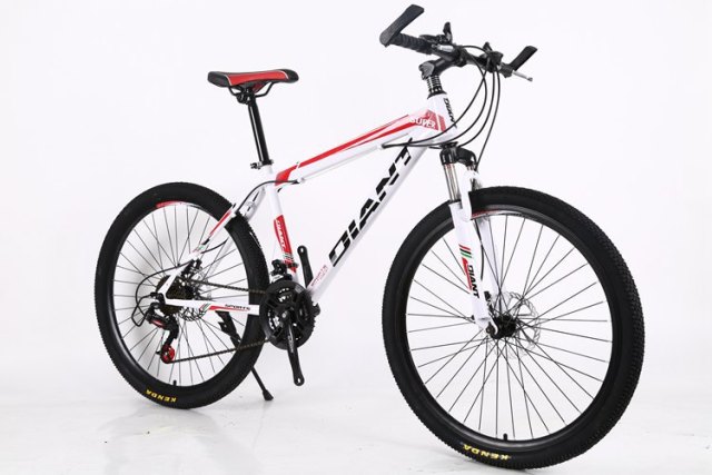 7-30 Speed High Quality Dual Disc Brake Variable Dpeed Mountain Bike