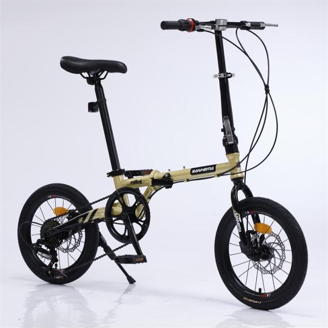 High Quality Carbon Fiber Folding Shift Dual Disc Brake Bike