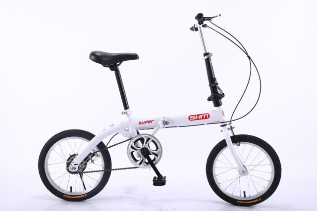 Newly Designed 16-inch Single-speed Dual-suspension Folding Bike