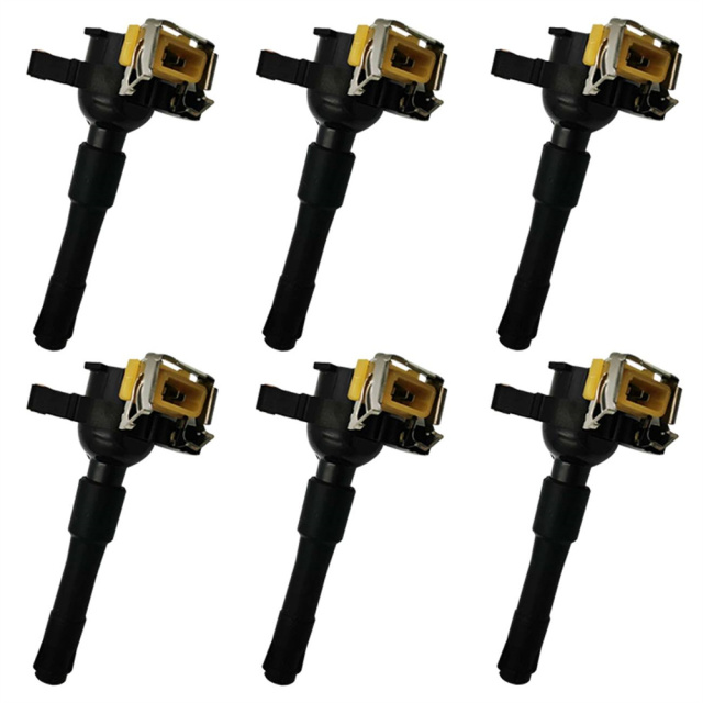 6PCS Ignition Coil for BMW 323i 325i 328i 330i 525i 528i 530i M3 M5 12137599219