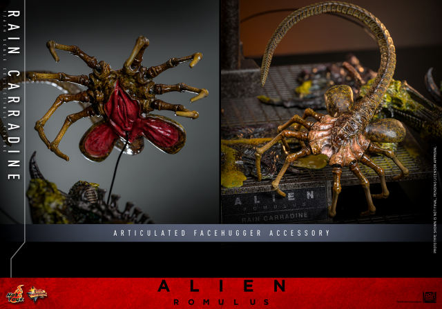 Hot Toys 1/6 MMS793 - Alien: Romulus - Rain Carradine PRE-ORDER