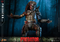 Hot Toys 1/6 MMS816 - Predator - Predator (2.0) PRE-ORDER