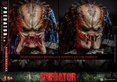 Hot Toys 1/6 MMS817 - Predator - Predator (2.0)  (Deluxe Version) PRE-ORDER