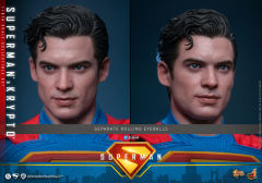 Hot Toys 1/6 MMS812 - Superman - 1/6th scale Superman & Krypto Collectible Set PRE-ORDER