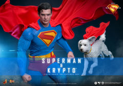 Hot Toys 1/6 MMS812 - Superman - 1/6th scale Superman & Krypto Collectible Set PRE-ORDER