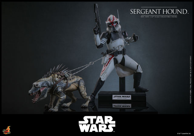 Hot Toys 1/6 TMS167 - Star Wars: The Clone Wars - Sergeant Hound PRE-ORDER