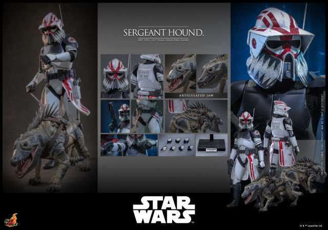 Hot Toys 1/6 TMS167 - Star Wars: The Clone Wars - Sergeant Hound PRE-ORDER