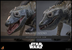 Hot Toys 1/6 TMS167 - Star Wars: The Clone Wars - Sergeant Hound PRE-ORDER