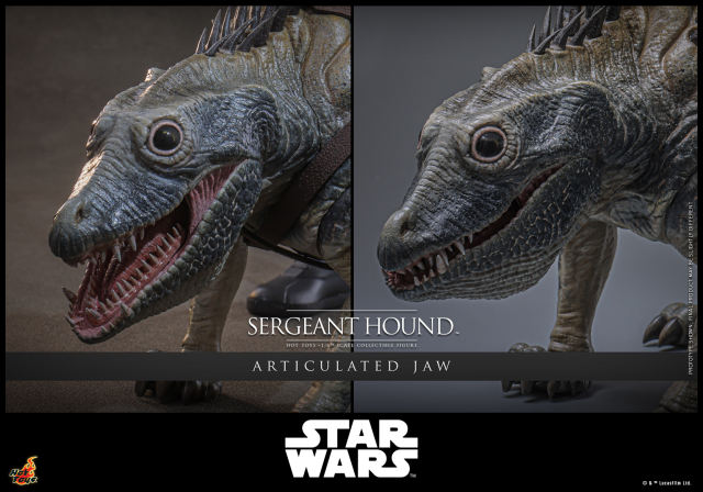 Hot Toys 1/6 TMS167 - Star Wars: The Clone Wars - Sergeant Hound PRE-ORDER