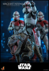 Hot Toys 1/6 TMS167 - Star Wars: The Clone Wars - Sergeant Hound PRE-ORDER