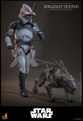 Hot Toys 1/6 TMS167 - Star Wars: The Clone Wars - Sergeant Hound PRE-ORDER