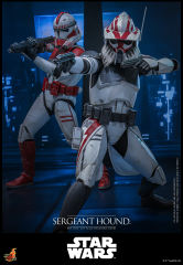 Hot Toys 1/6 TMS167 - Star Wars: The Clone Wars - Sergeant Hound PRE-ORDER