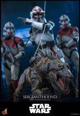 Hot Toys 1/6 TMS167 - Star Wars: The Clone Wars - Sergeant Hound PRE-ORDER