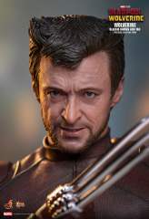 Hot Toys 1/6 MMS831 DEADPOOL & WOLVERINE WOLVERINE (CLASSIC BROWN AND TAN) EXCLUSIVE