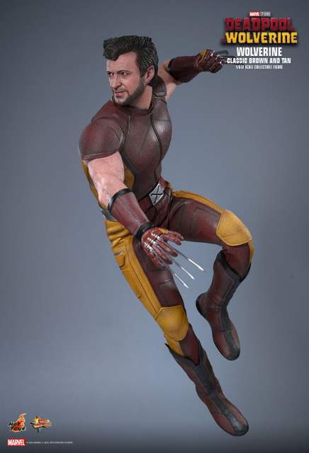 Hot Toys 1/6 MMS831 DEADPOOL & WOLVERINE WOLVERINE (CLASSIC BROWN AND TAN) EXCLUSIVE