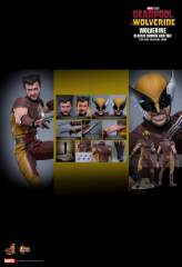 Hot Toys 1/6 MMS831 DEADPOOL & WOLVERINE WOLVERINE (CLASSIC BROWN AND TAN) EXCLUSIVE