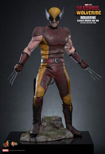 Hot Toys 1/6 MMS831 DEADPOOL & WOLVERINE WOLVERINE (CLASSIC BROWN AND TAN) EXCLUSIVE