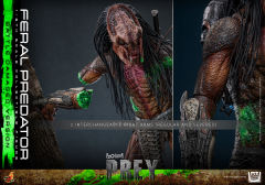 Hot Toys 1/6 TMS173 - Prey - Feral Predator (Battle Damaged Version) PRE-ORDER