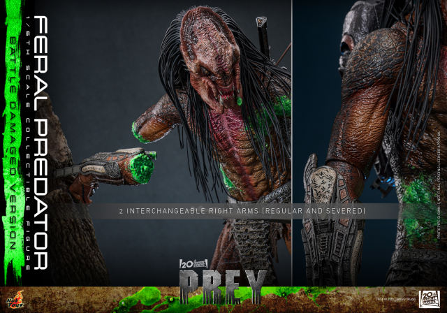 Hot Toys 1/6 TMS173 - Prey - Feral Predator (Battle Damaged Version) PRE-ORDER